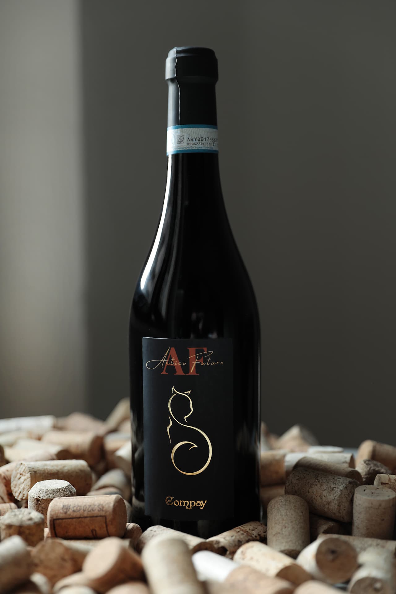 Bottiglia Compay Antico Futuro